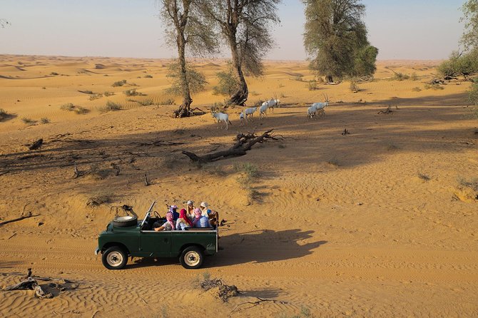 Overnight Desert Safari - Vintage Land Rovers & Traditional Activities - Why this overnight safari feels different