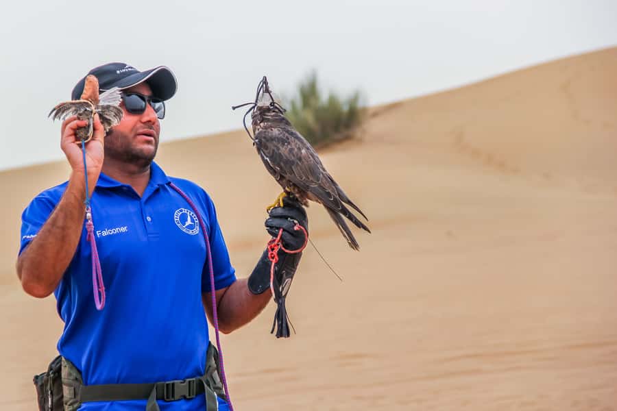 Overnight Dubai Desert Safari with BBQ Dinner - Tanoura, fire performance, and belly dance