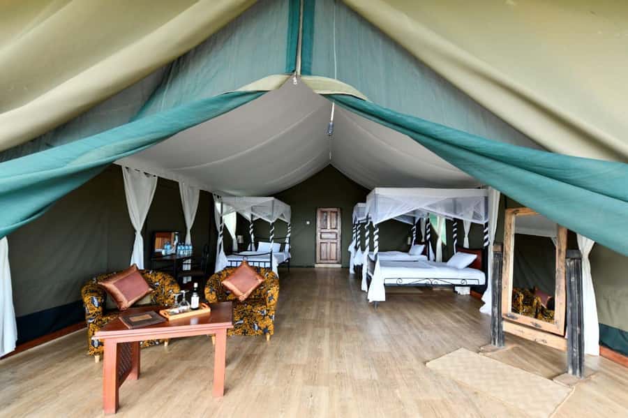Overnight Private Safari To Masai Mara - The morning departure and return to Nairobi
