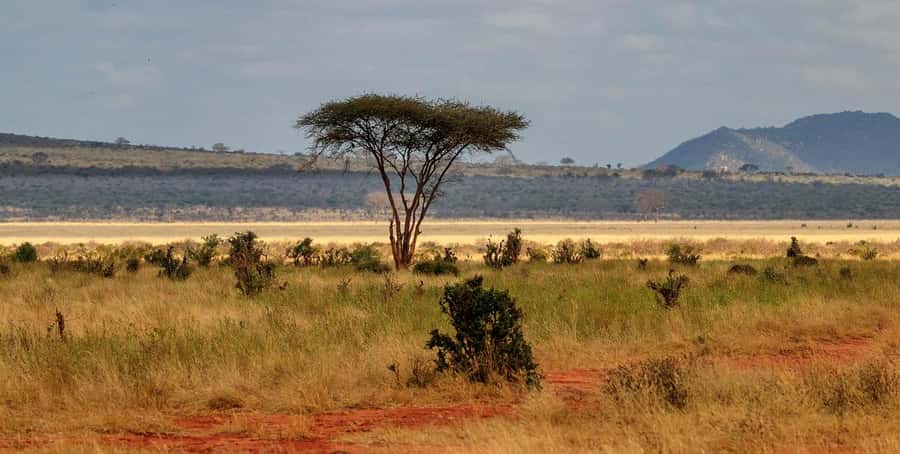 Overnight Tsavo East Safari From Mombasa/Diani (Private) - The 6:00am departure from Mombasa or Diani