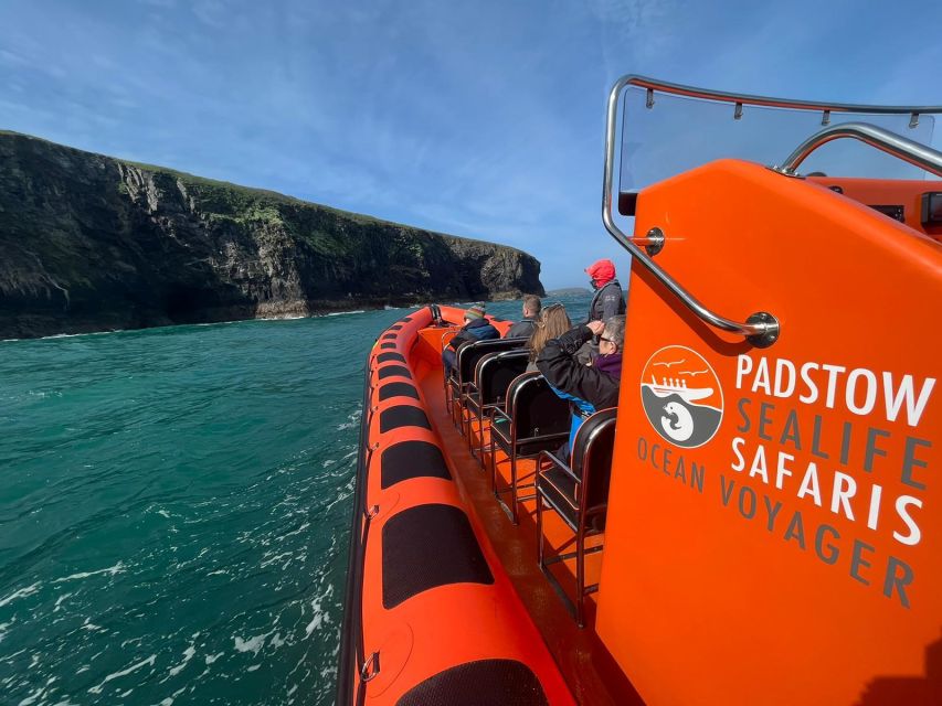 Padstow: Guided RIB Sealife Safari - What the guides and skipper add