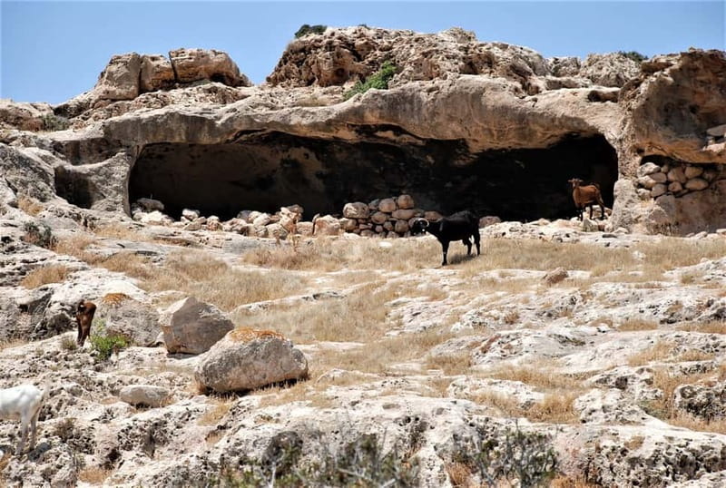 Paphos: Land Rover Jeep Safari Coastal Tour and Blue Lagoon - The high viewpoint and Akamas tracks
