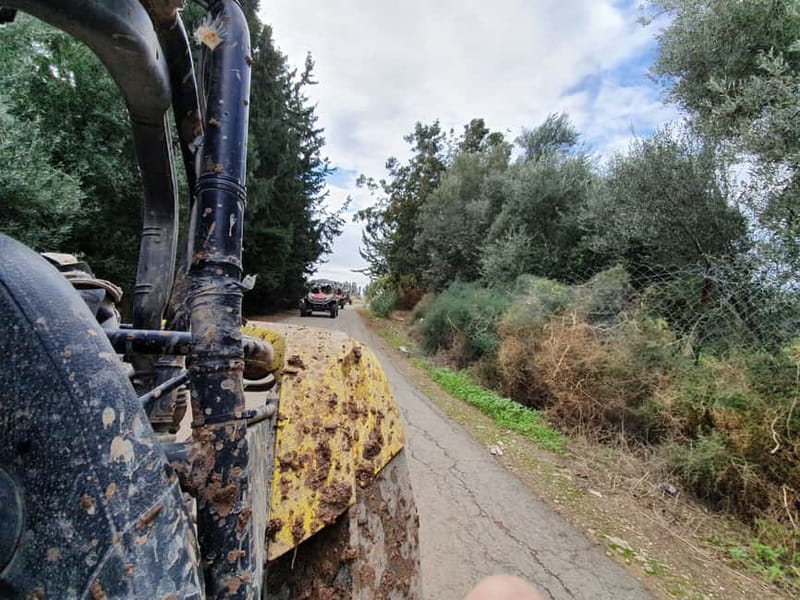 Paphos: Seaside and off Road Buggy Safari - Key points to know before you book