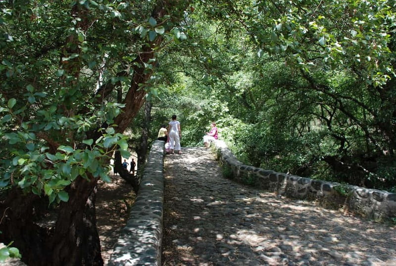 Paphos: Troodos-Kykkos Land Rover Treasure Jeep Safari - Key points to know before booking