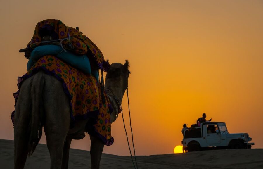 Peeps Billions of Star Experience with Desert & Camel Safari - What $33 includes, and where the value lies