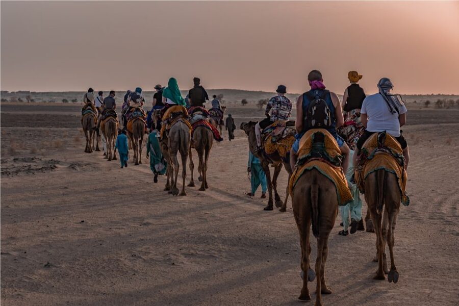 Peeps Billions of Star Experience with Desert & Camel Safari - Who will enjoy this desert night most