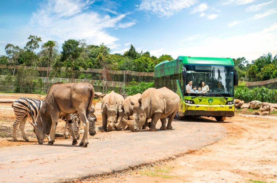 Phu Quoc: Vinpearl Safari Park Entry Ticket - A Safari Park Instead of a Traditional Zoo
