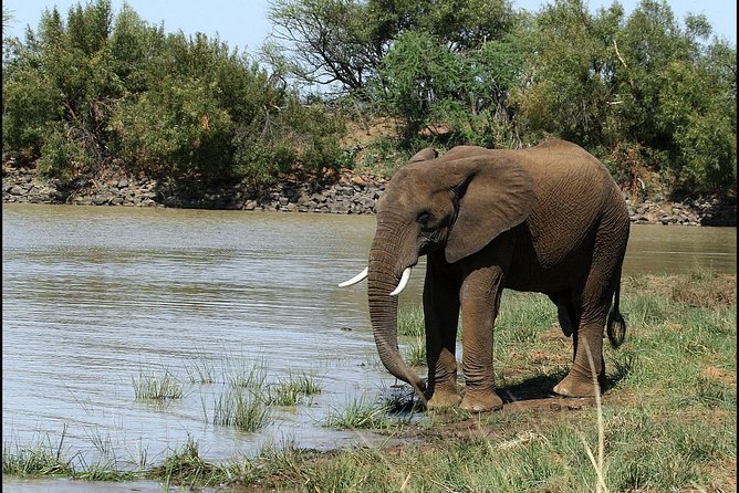 Pilanesberg Game Reserve 6 Hour Sunrise Safari from Johannesburg or Pretoria - Magaliesberg scenery and the route home