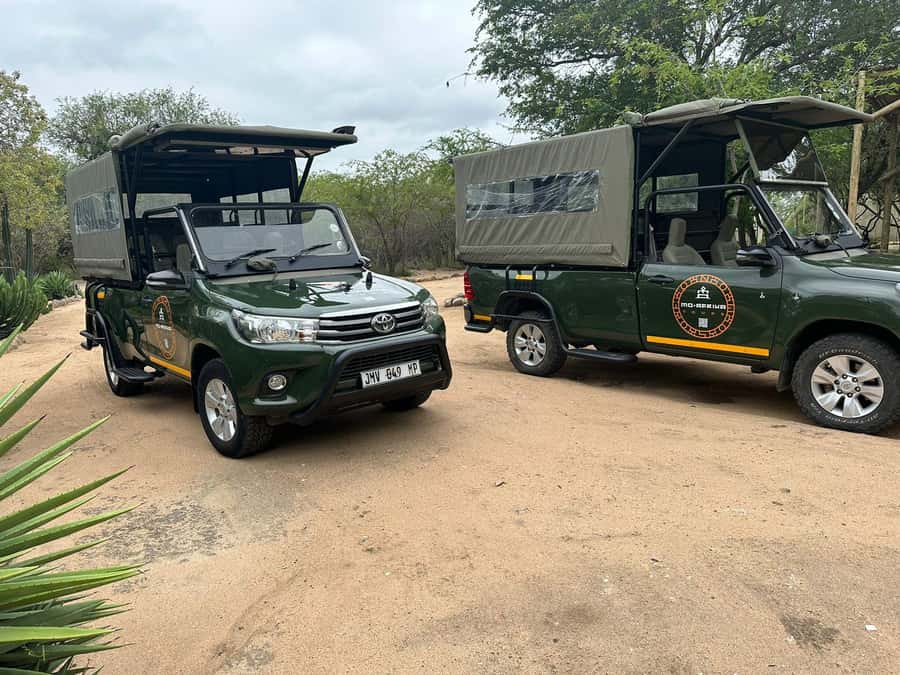 Pilanesberg Morning or Afternoon 3 Hour Game Drive - Looking for the Big Five
