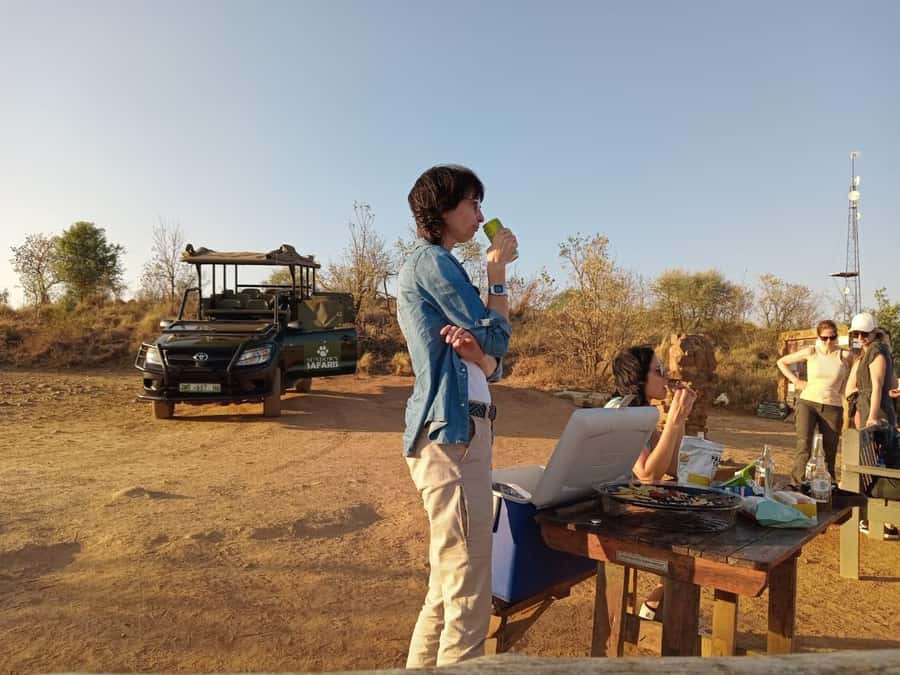 Pilanesberg Morning or Afternoon 3 Hour Game Drive - Morning or afternoon: choosing your departure