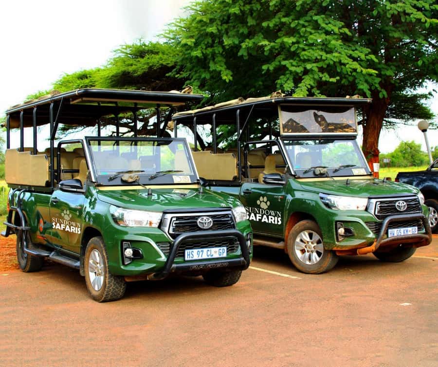 Pilanesberg Morning or Afternoon 3 Hour Game Drive - The small group question