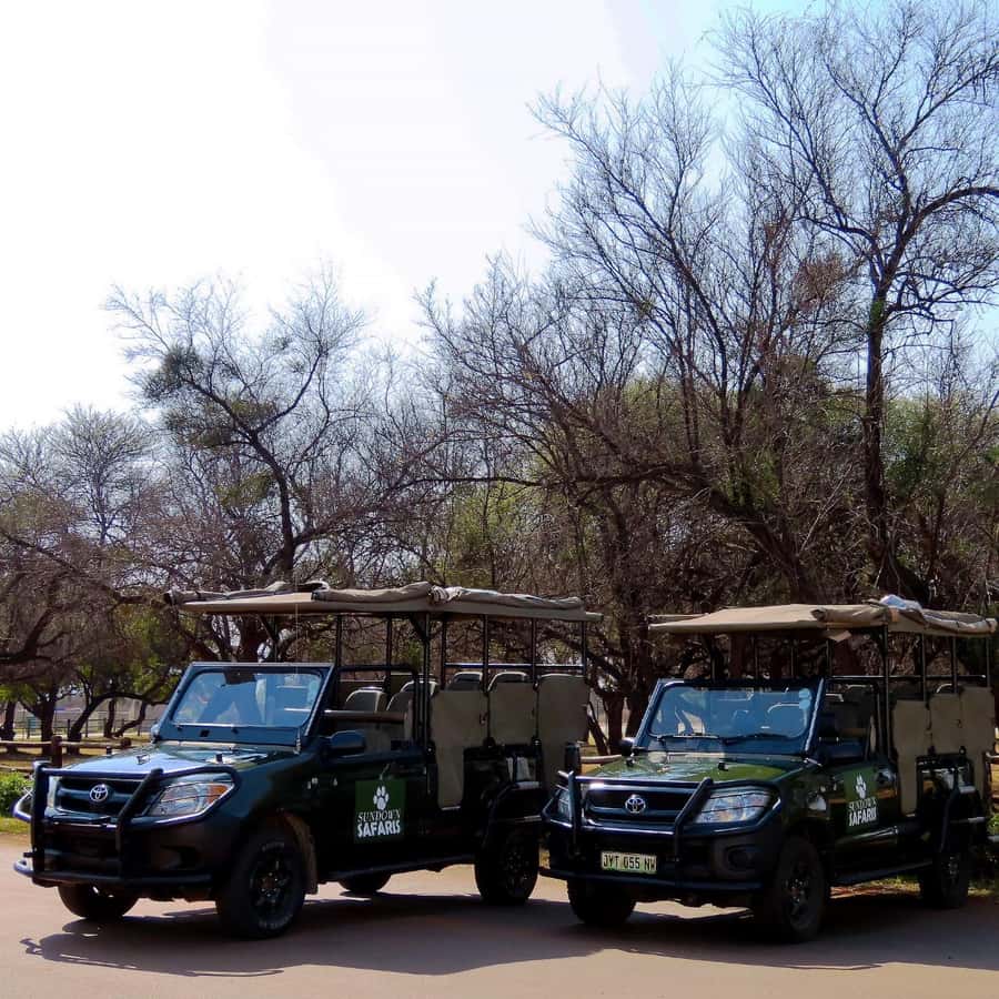 Pilanesberg Morning or Afternoon 3 Hour Game Drive - Practical details that affect your day