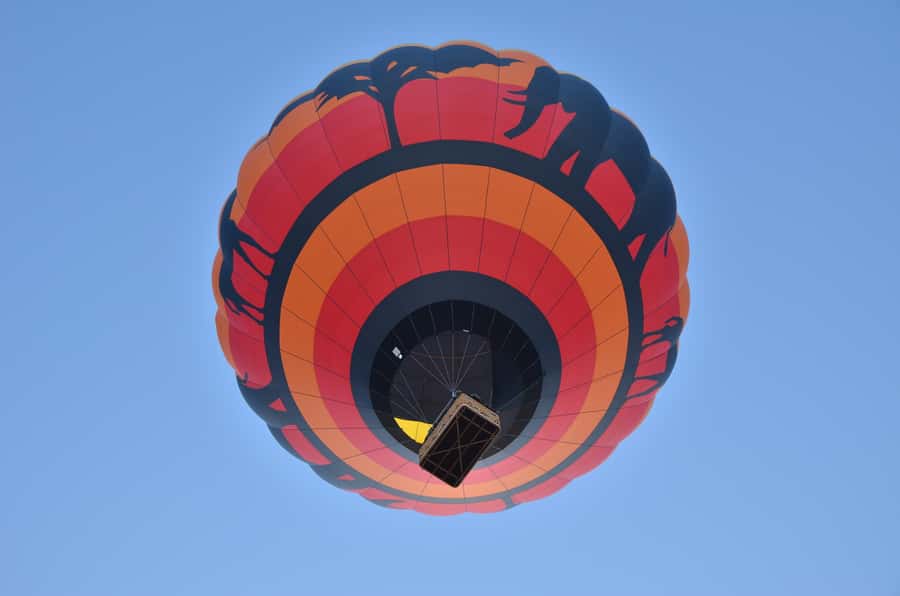 Pilanesberg National Park/Sun City Hot Air Balloon Safari - Key points at a glance