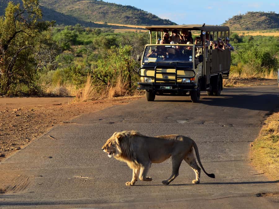Pilanesberg National Park/Sun City Hot Air Balloon Safari - Is $421 a fair price?