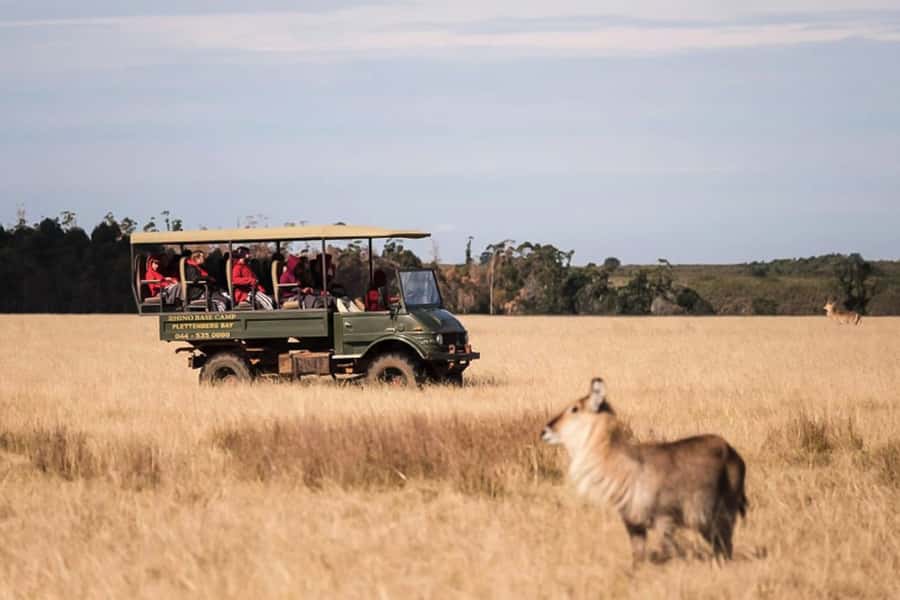 Plettenberg Bay Game Reserve: 2-Hour Game Drive - Key points at a glance