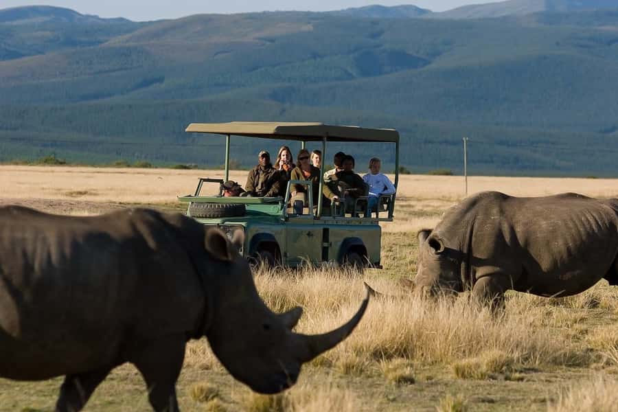 Plettenberg Bay Game Reserve: 2-Hour Game Drive - A convenient safari near Plettenberg Bay