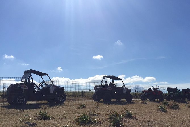Polaris Buggy 4-Hour Safari from Rethymno Town - Morning or afternoon: which works better?