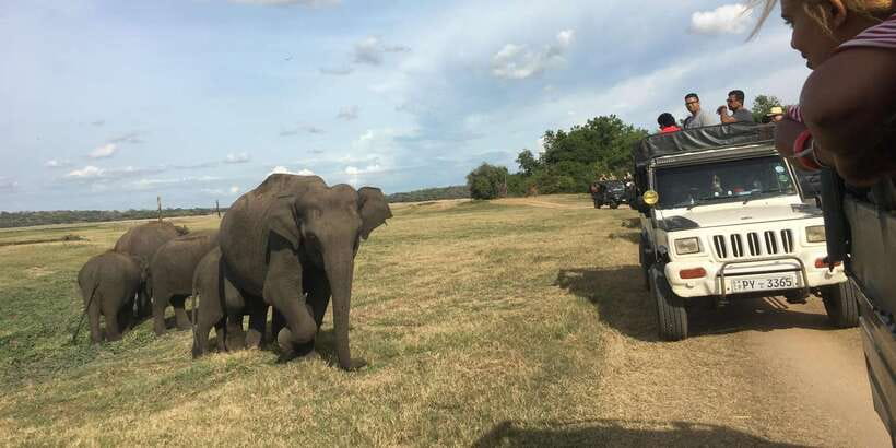 Polonnaruwa Sight Seeing Tour and Minneriya Elephant Safari - Polonnaruwa: three hours among royal ruins