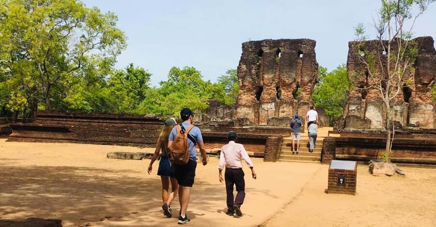 Polonnaruwa Sight Seeing Tour and Minneriya Elephant Safari - Lunch and the cost of eating well