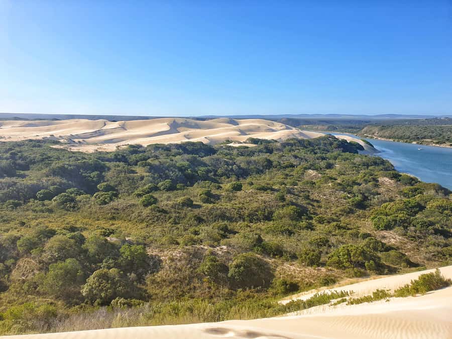 Port Elizabeth: 2-Day Addo Elephant Park Safari - Why Addo is different from a standard safari