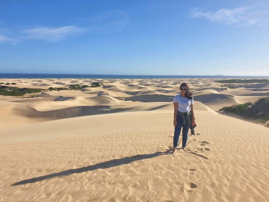 Port Elizabeth: 2-Day Addo Elephant Park Safari - Guides, group size, and the human side of the trip