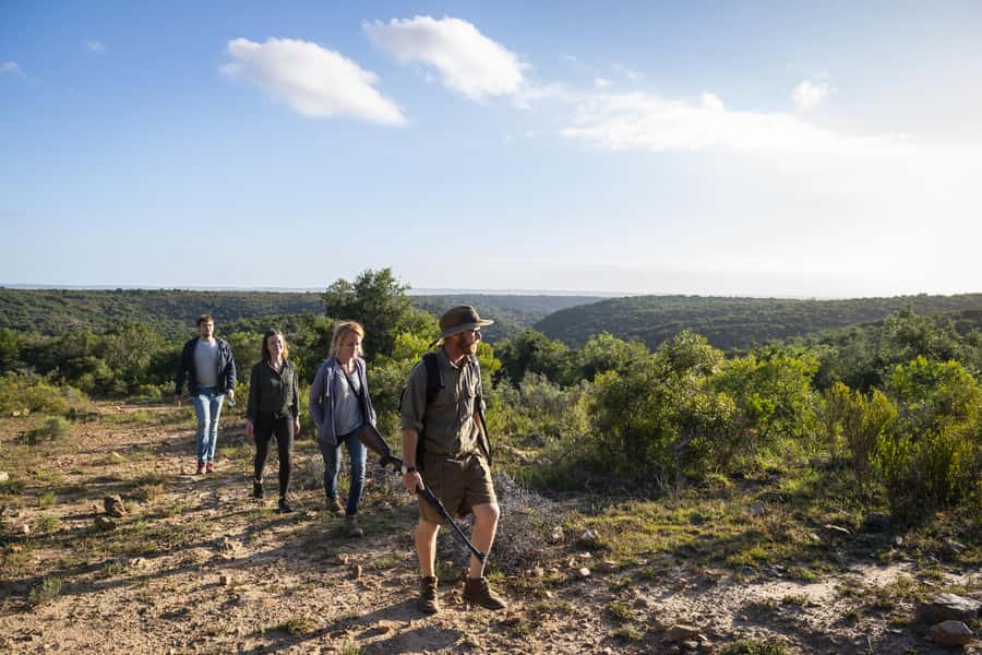 Port Elizabeth: 2-Day Addo Elephant Park Safari - Who should book this two-day safari?