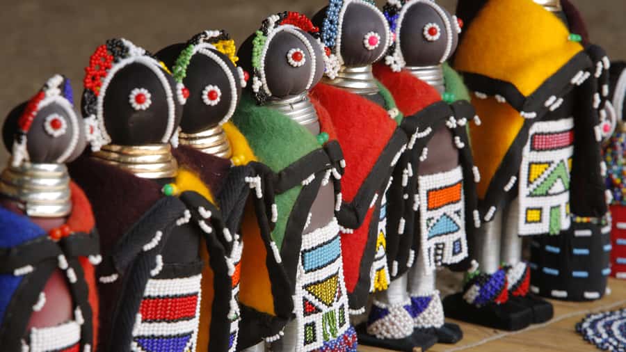 Port Elizabeth: 4x4 Wildlife Safari & City Sightseeing Tour - What to bring and what to budget
