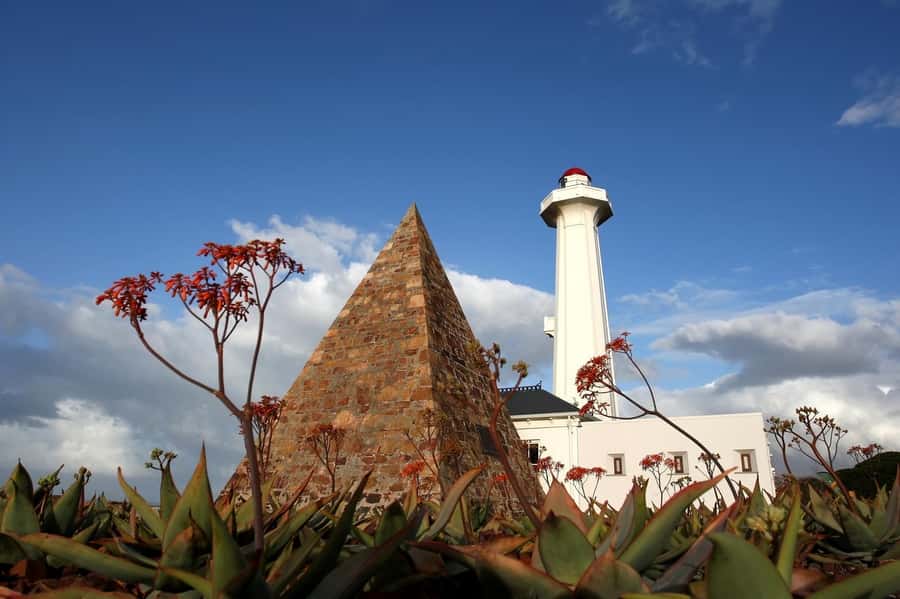 Port Elizabeth: 4x4 Wildlife Safari & City Sightseeing Tour - Starting with crafts and local Port Elizabeth
