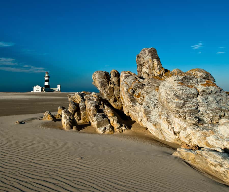 Port Elizabeth: 4x4 Wildlife Safari & City Sightseeing Tour - Meeting penguins at SANCCOB