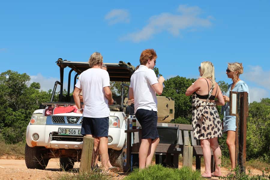 Port Elizabeth: Schotia Private Game Reserve Safari - Two two-hour drives give the day a good rhythm