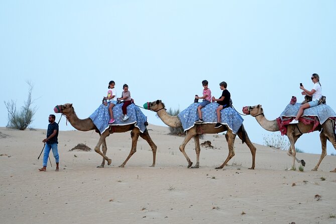Premium Deluxe Dubai Safari with Camel Ride, Sandboard & BBQ - Pickup, group size, and practical comfort