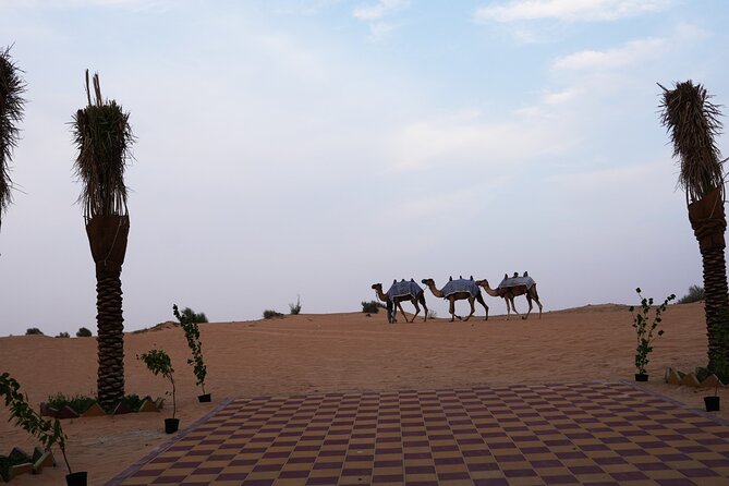 Premium Deluxe Dubai Safari with Camel Ride, Sandboard & BBQ - The guide can shape your whole evening