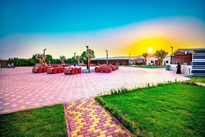 Premium Desert Safari Sharing Transfer with 5<em> Unlimited Buffet – Key points to know before booking’ /></p>
<ul>
<li><strong>Red-dune driving is the centerpiece:</strong> Expect a thrilling 25 to 30 minute 4WD ride, with the quality depending heavily on your driver.</li>
<li><strong>The camel ride is brief:</strong> Five minutes is listed as the free allowance, and longer rides may cost extra.</li>
<li><strong>Dinner is generous but shared:</strong> The package includes vegetarian and non-vegetarian barbecue food plus an unlimited international buffet, with shared table seating.</li>
<li><strong>Entertainment can change:</strong> Tanoura, fire, music, and dance performances are planned, but belly dancing may be absent during Ramadan.</li>
<li><strong>The $70 price covers a lot:</strong> Transport, dune bashing, sunset stop, sandboarding, drinks, coffee, henna, dinner, and shows are included.</li>
<li><strong>Shared transport affects comfort:</strong> Vehicles carry up to six people, while the complete camp can handle as many as 108.</li>
</ul>
<h2>Red dunes and a seven-hour evening</h2>
<p><img width="669" height="446" decoding="async" src=
