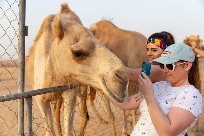 Premium Dubai Desert Safari with BBQ Dinner in the Red Dunes - Heat, Clothing, and Practical Comfort