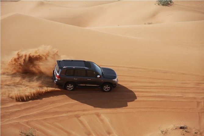 Premium Full-Day Safari, Dune Bash, Camel Ride and BBQ Meal in Desert Camp - Sealine Beach starts with a short camel ride