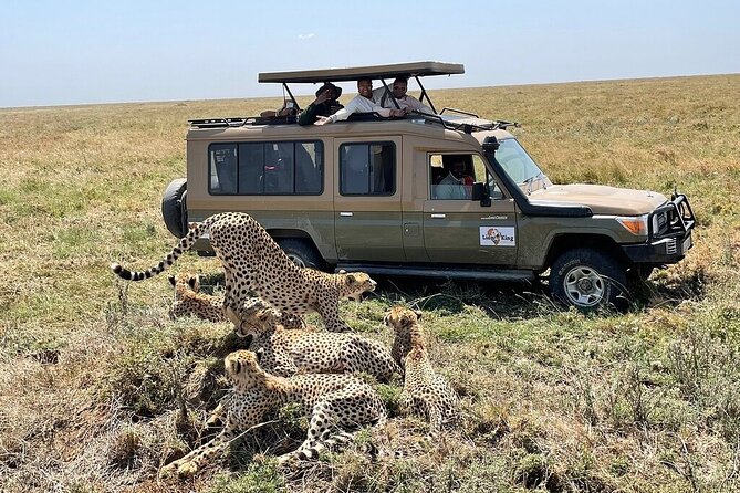 Private 6-Day Tarangire Manyara Crater and Serengeti with Mid-Range Lodges - Day 3: From Ngorongoro views to the southern Serengeti