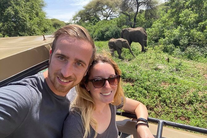 Private 6-Day Tarangire Manyara Crater and Serengeti with Mid-Range Lodges - Day 4: A full day to read the Serengeti