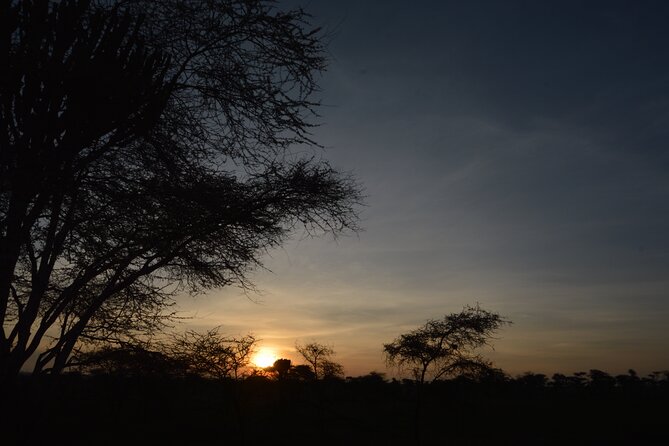 Private 7-Day Tanzania Camping Safari - Olduvai Gorge and the road to Ngorongoro