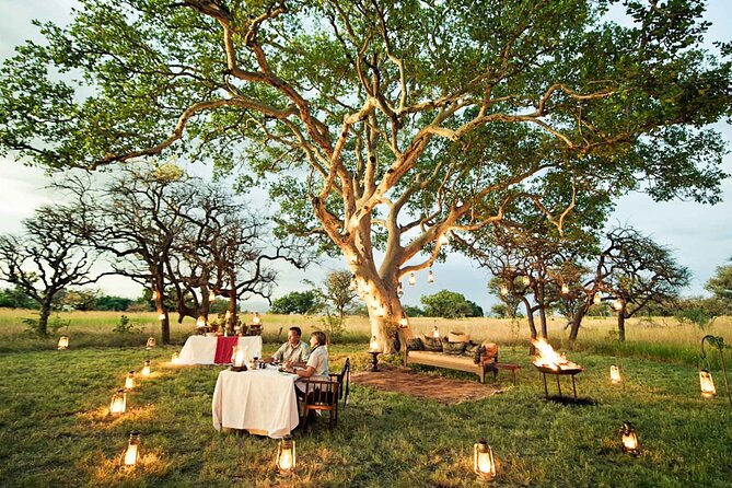 Private 7 Days Classic Safari Tour in Tanzania - Why this seven-day route works