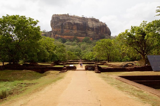 Private Day Trip to Sigiriya, cave and National park Safari Tour - The car and driver make or break the outing
