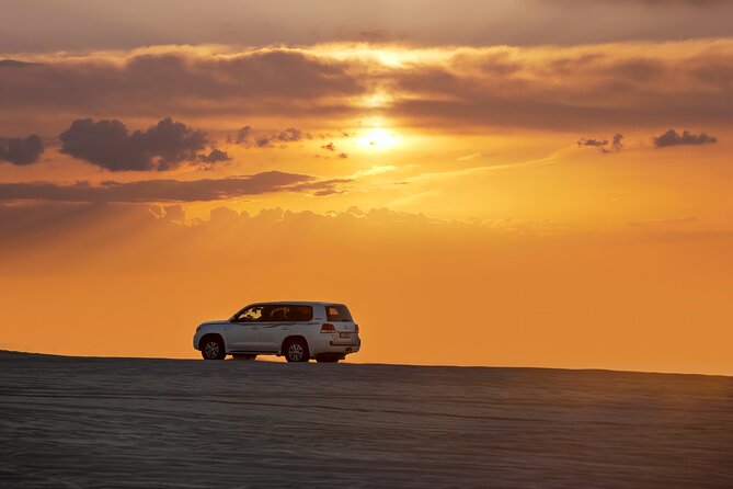 Private Desert Safari Fast Track - Sealine Beach combines camels, falcons, and dune bashing