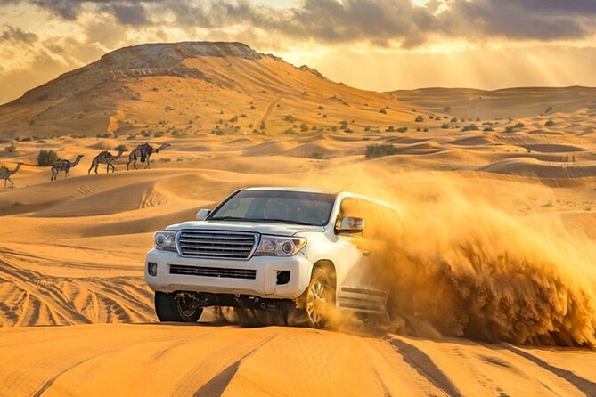 Private Evening Desert Safari with BBQ Dinner Dubai - Tanoura, belly dancing, and the fire show