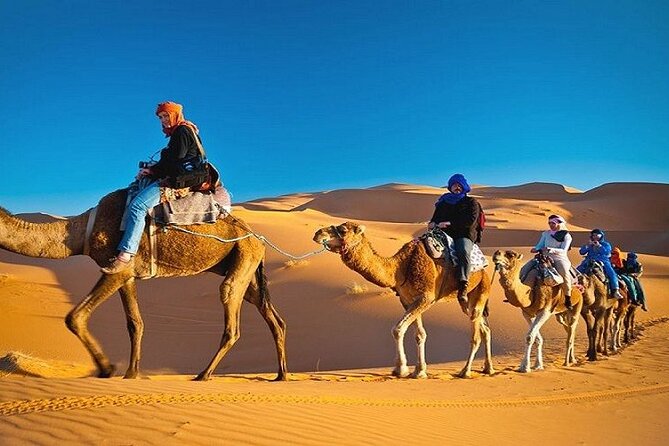 Private Evening Desert Safari with BBQ Dinner Dubai - What the $412 private price really buys
