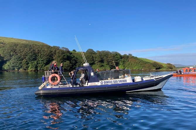 Private family sea safari - Watching for dolphins and other sea life