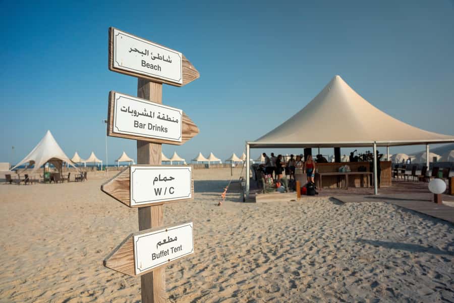 Private Half-Day Desert Safari Tour+Camel Ride - What the $203 price delivers