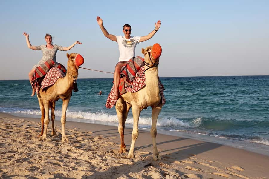 Private Half-Day Desert Safari Tour+Camel Ride - Timing, comfort, and practical preparation