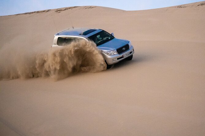 Private Half Day Desert Safari with Camel Ride - Sealine Beach and the short camel ride