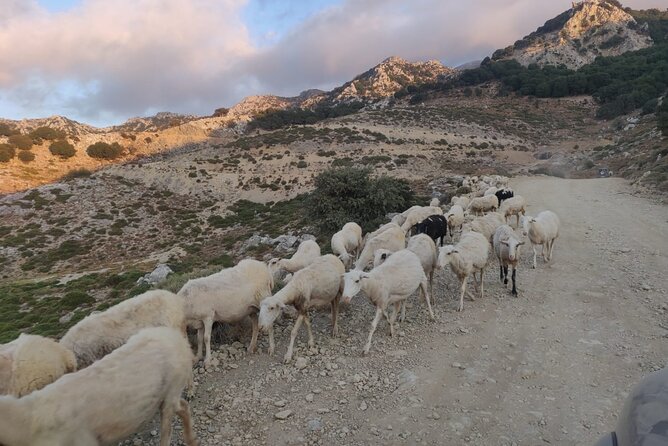 PRIVATE Jeep Safari 4x4 SUNSET (with Dinner) in Mountains CRETE - Timing, weather, and cancellation details