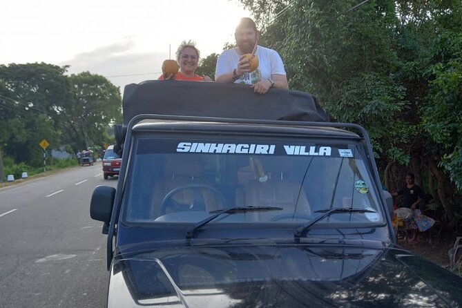 Private Jeep Safari at Minneriya National Park to Visit Elephants - Private jeep, real advantages and a few limits