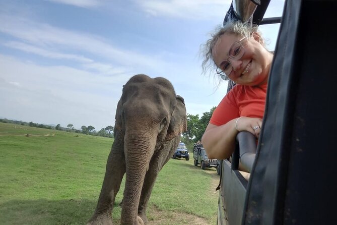 Private Jeep Safari at Minneriya National Park to Visit Elephants - The price, park fees, and the real total